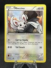Minccino