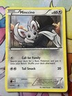 Minccino