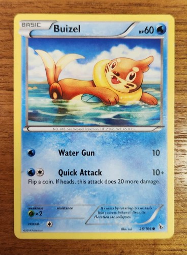 Buizel
