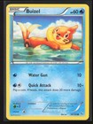 Buizel