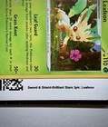 Flapple 1-Pack Blister