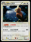 Noctowl