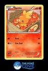 Torchic