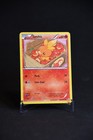 Torchic