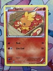 Torchic