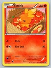 Torchic