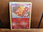Torchic