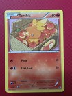 Torchic