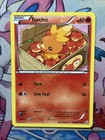 Torchic