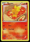 Torchic