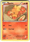 Torchic