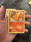 Torchic