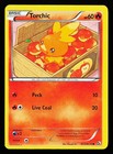 Torchic
