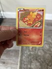 Torchic