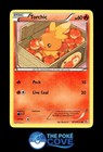 Torchic