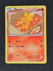 Torchic