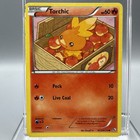 Torchic
