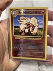 Arcanine