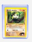 Brock's Mankey