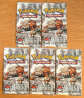 Booster Pack