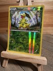Bayleef