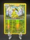 Bayleef