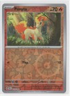 Ponyta