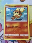 Growlithe