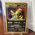 Tyranitar