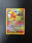 Torchic