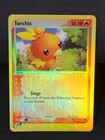 Torchic
