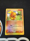 Torchic