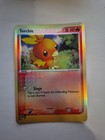 Torchic