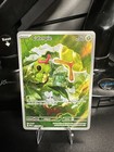 Caterpie