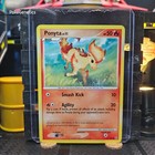 Ponyta