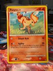Ponyta