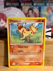 Ponyta