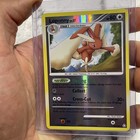 Lopunny