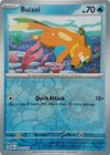 Buizel