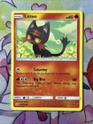 Litten