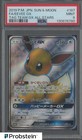 Eevee GX