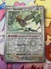 Spearow