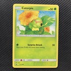 Caterpie