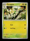 Floragato