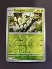 Floragato