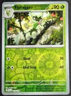 Floragato
