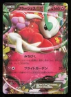 Florges EX