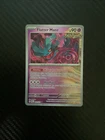 Flutter Mane