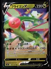 Flygon V