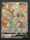Flygon V